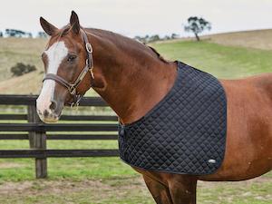 Rug Sale: Weatherbeeta Deluxe Shoulder Guard