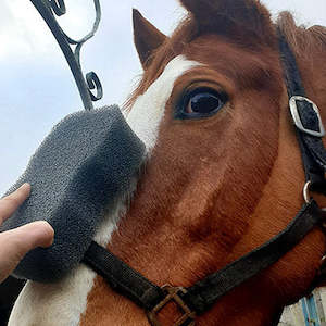 Washing Equipment: EquiBuff Sponge