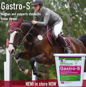 NPC Health Gastro Soothe