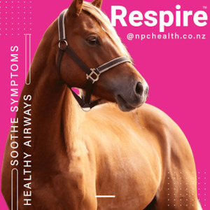 Horse Health: NPC Respire