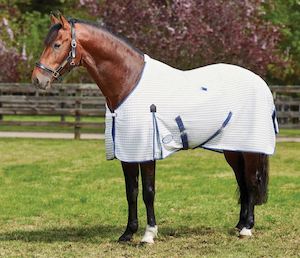 Rug Sale: Weatherbeeta Summer Sheet Standard Neck with Freestyle Tail