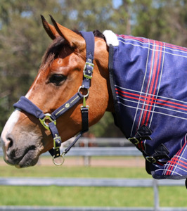 Rug Sale: Zilco Crusader 200 Neck Cover