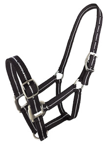 Headcollars Leads: Zilco Metallic Stripe Halter