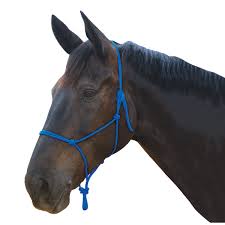 Roma: Roma Rope Halter