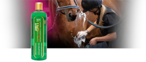 NAF Tea Tree and Mint Shampoo