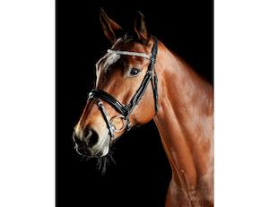 Collegiate: Collegiate ComFiTec Luna Bridle