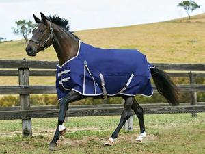 WeatherBeeta ComFiTec Essential Standard Neck Medium 220g