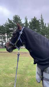 New 1: Roulette Rugs Polar Fleece Hood