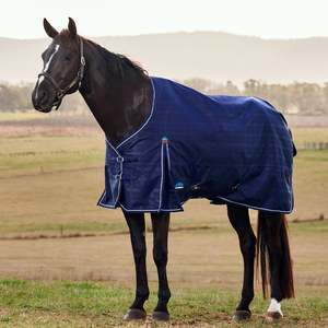 Weatherbeeta Comfitec Prelim Turnout Standard Neck 220g