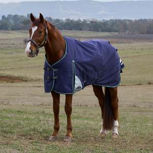 Weatherbeeta Comfitec Plus Dynamic Turnout Standard Neck 100g