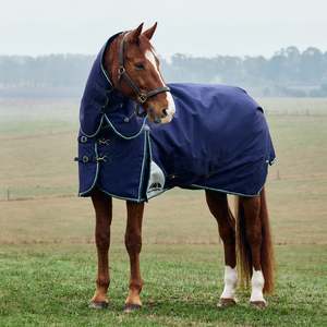 Weatherbeeta Comfitec Plus Dynamic Turnout Detach-A-Neck 0g