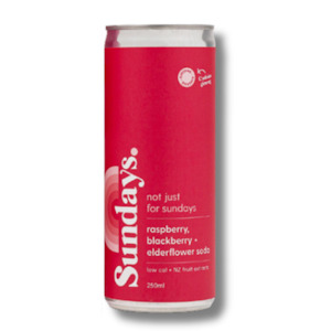 Raspberry, Blackberry & Elderflower Soda (Sundays Drinks)