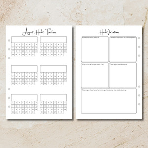 Sunday Series - Habit Tracker & Reflections