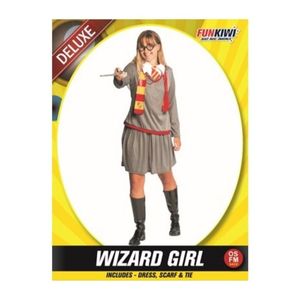 Womens Costumes: Deluxe Adult Costume - Wizard Girl