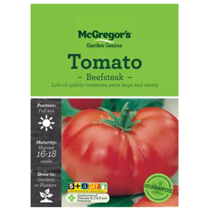 Seeds: Seeds M6900 Tomato - Beefsteak