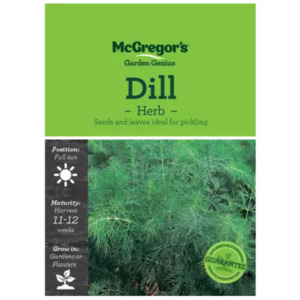 Seeds: Seeds M6395 Dill - Herbs