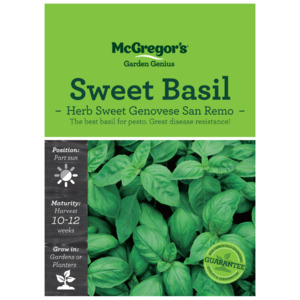 Seeds: Seeds M6421 Basil - Sweet Genovese San Remo