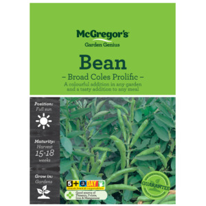 Seeds: Seeds M6015 Bean - Broad Coles Prolific