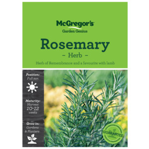 Seeds M6417 Rosemary - Herb