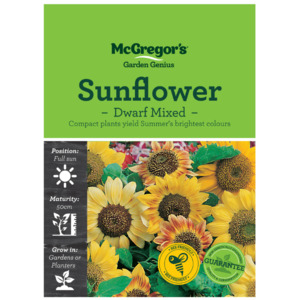 Seeds: Seeds M2840 Sunflower - Dwarf Mixed