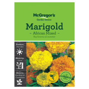 Seeds: Seeds M2500 Marigold - African Mixed