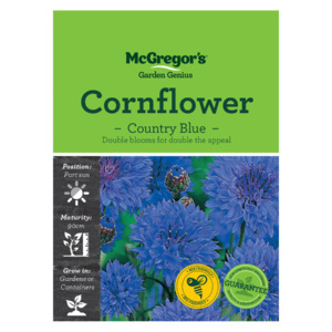 Seeds: Seeds M2160 Cornflower - Country Blue