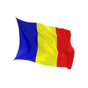 Flags: Flag Romania Indoor Wall 5x3