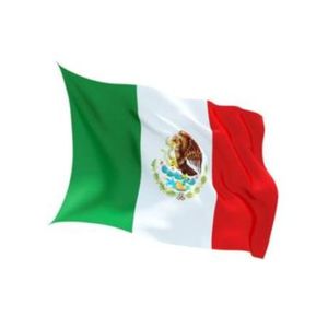 Flags: Flag Mexico Indoor Wall 5x3