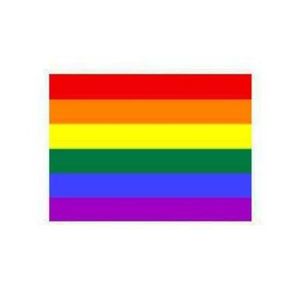 Flag Rainbow Indoor Wall 5x3