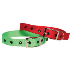 Nylon Collar 25 x 660 - Green
