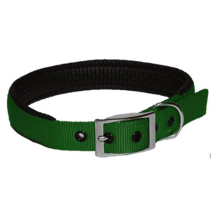 Leads Collars: Nylon Collar Padded 19 x 485mm - Green