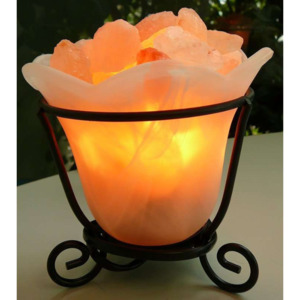 Lamps: Himalayan Salt Rocks in Glass Bowl