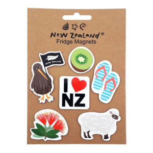 Magnet NZ 6pc Set 5-6cm