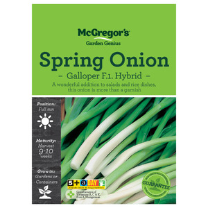 Seeds: Seeds M6830 Spring Onion - Galloper F.1. Hybrid