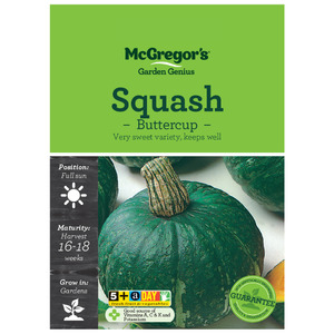 Seeds M6850 Squash - Buttercup