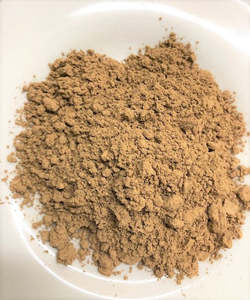 Reishi Mushroom (Ganoderma lucidum)