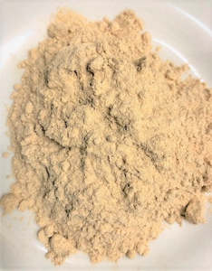 Shiitake Mushroom (Lentinula edodes)