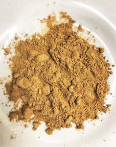 Maitake Mushroom (Grifola frondosa)