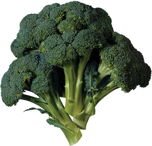 Products: Broccolli (Each) - Sunrise Fresh
