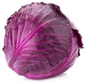 Products: Cabbage Red (Each) - Sunrise Fresh