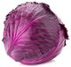 Cabbage Red (Each) - Sunrise Fresh