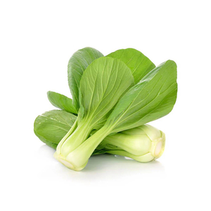 Products: Cabbage Shanghai Chinese (kg) - Sunrise Fresh