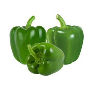 Products: Capsicum Green (Each) - Sunrise Fresh