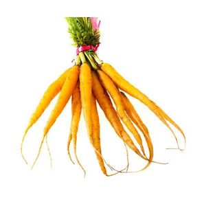 Carrots Baby Yellow (500g) - Sunrise Fresh