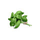 Basil (100g) - Sunrise Fresh