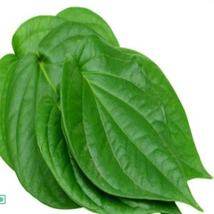 Products: Paan Leaves (Pack) - Sunrise Fresh
