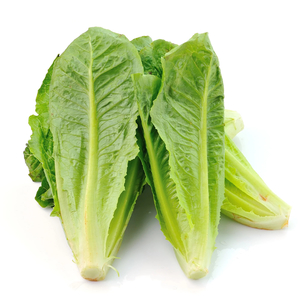 Lettuce Cos (Each) - Sunrise Fresh