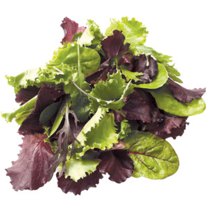 Products: Mesclun mix (500g) - Sunrise Fresh