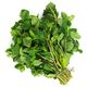 Mint (100g) - Sunrise Fresh
