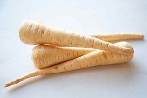 Parsnip (kg) - Sunrise Fresh